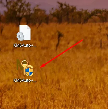 Open KMS Auto Net for Office activation process