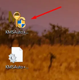 Run Windows 10 Activator after downloading